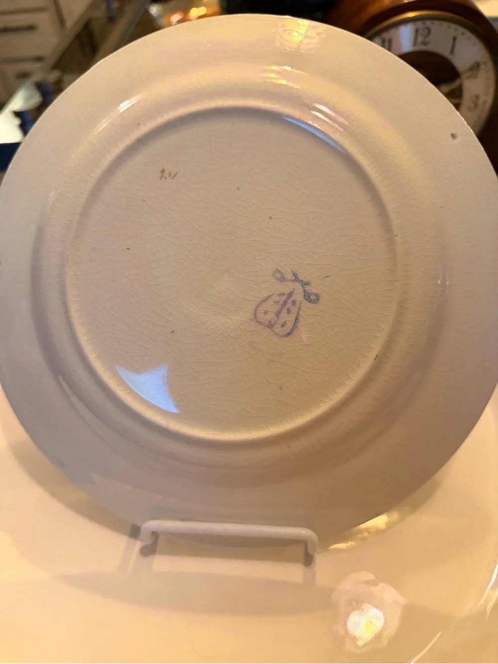 Mid 20th century H&Co Selb Bavaria Heinrich porcelain cabinet plate.